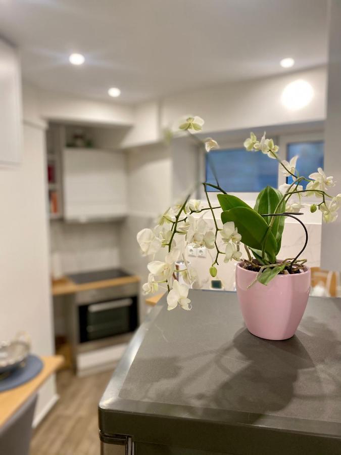 Seaside Comfy Apartment/ Palaio Faliro Athens Ngoại thất bức ảnh